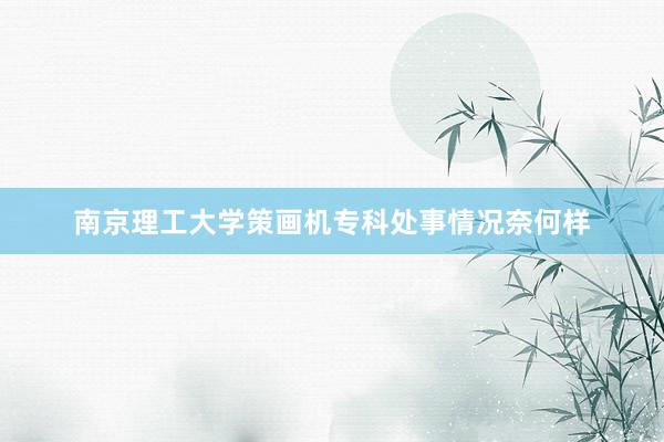 南京理工大学策画机专科处事情况奈何样