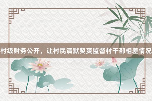 村级财务公开，让村民清默契爽监督村干部相差情况